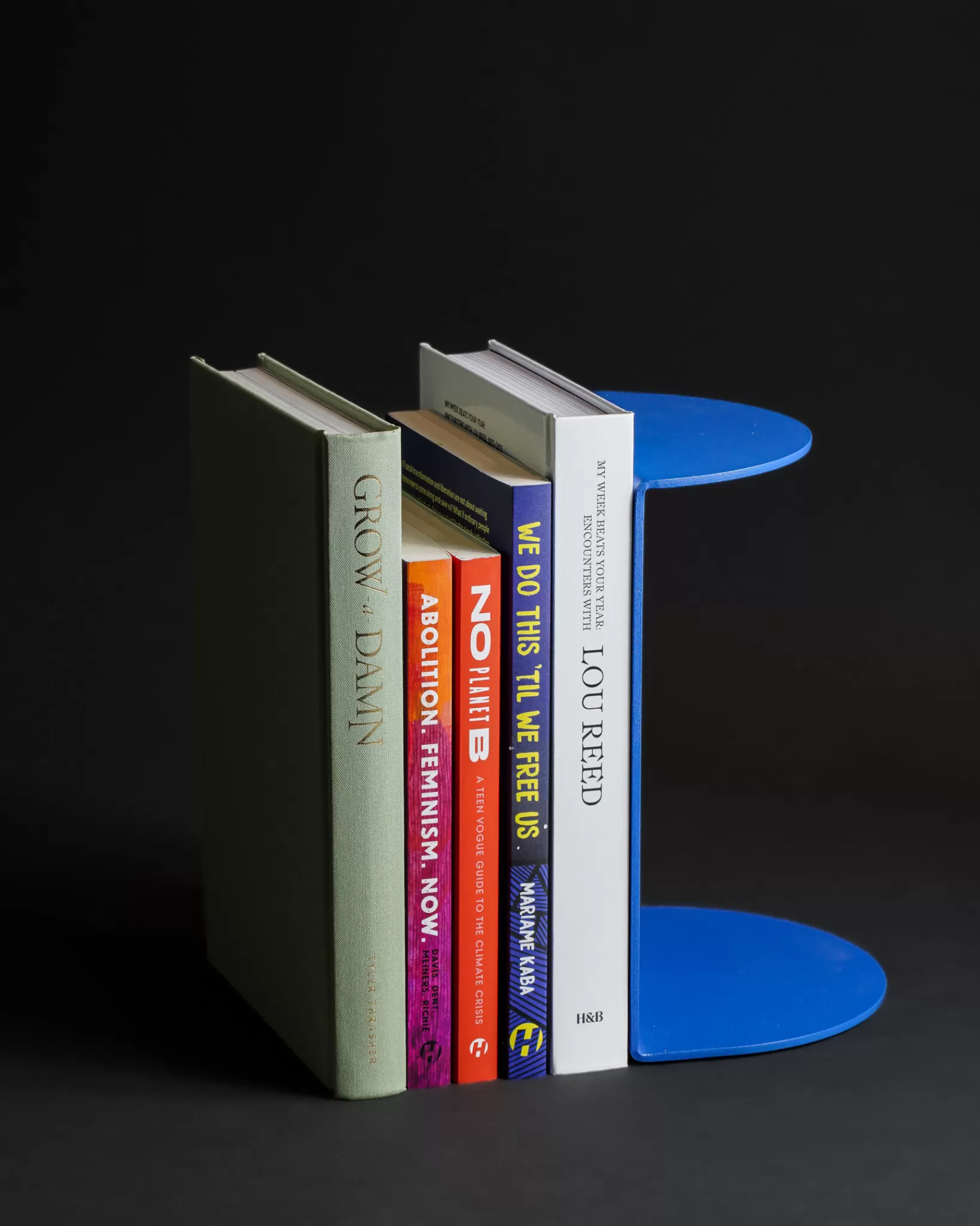 New Areaware Reference Bookend