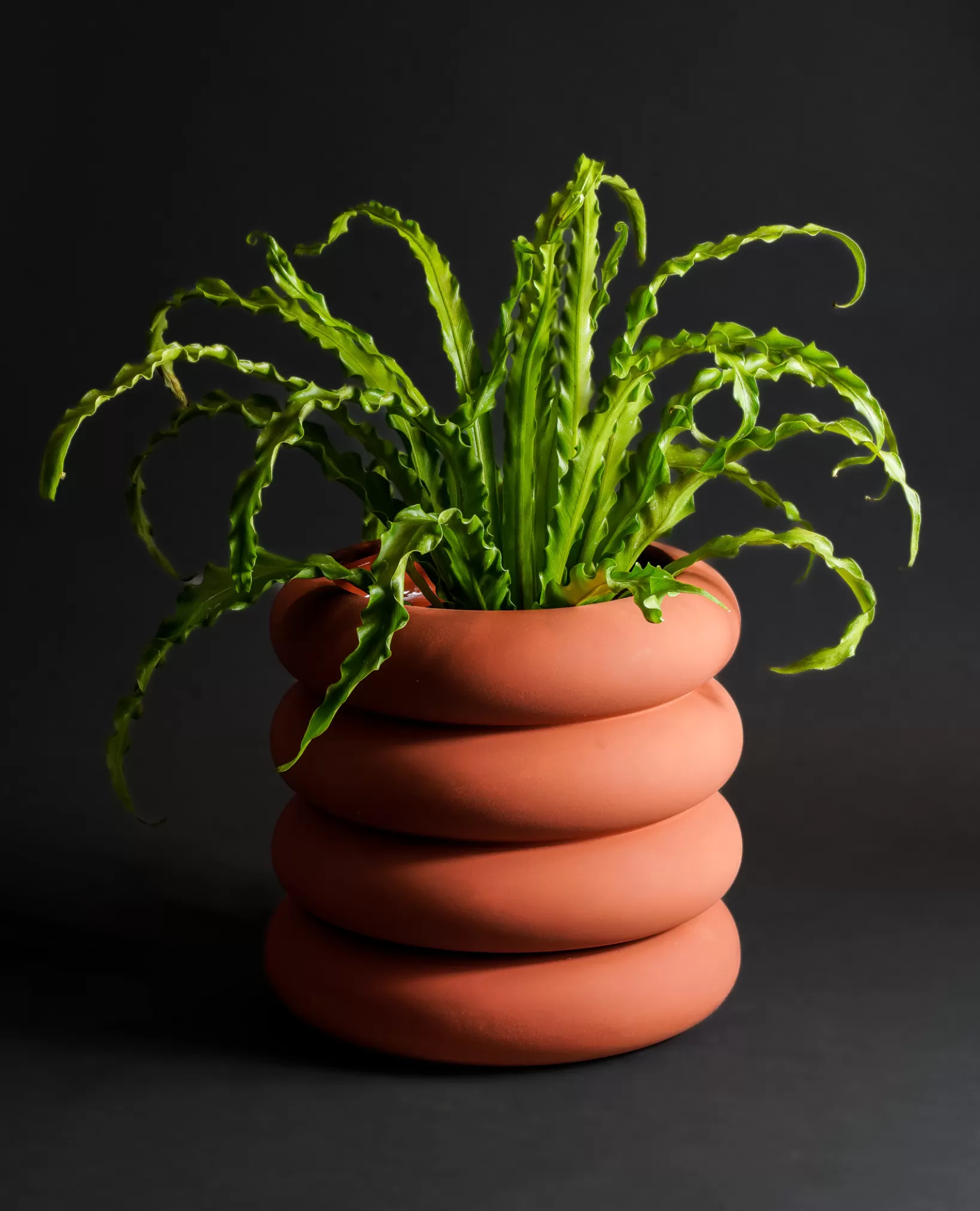 Flash Sale Areaware Stacking Planter