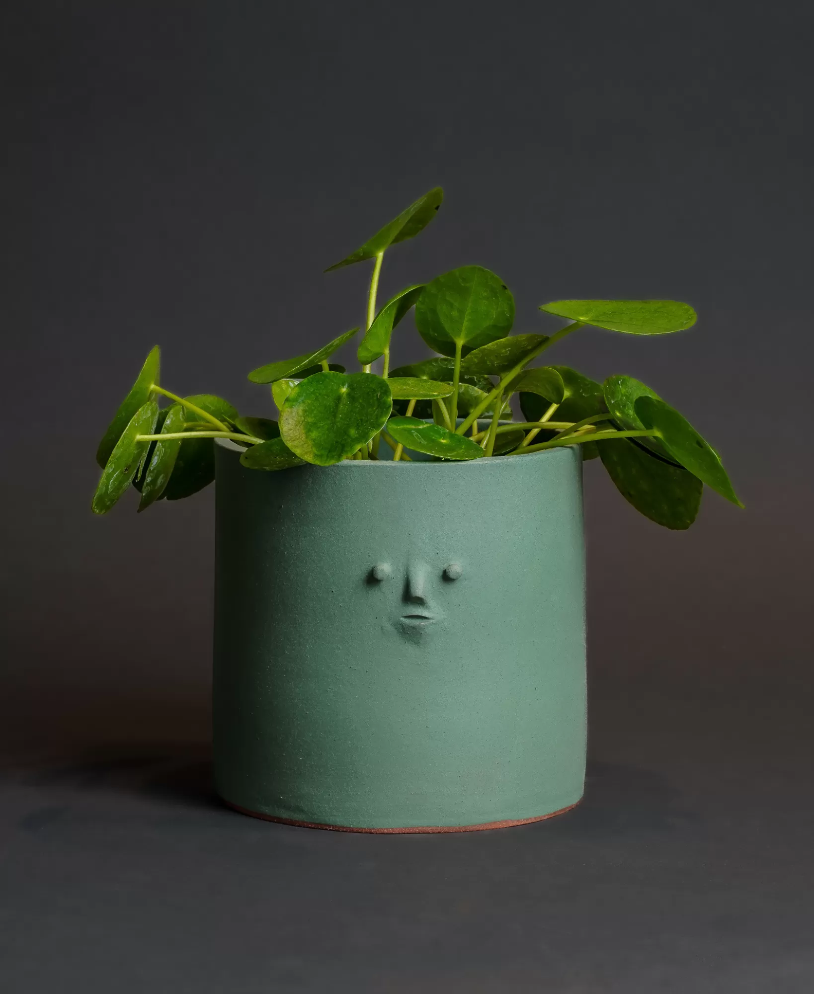 Best Sale Rami Kim Mini Face Planter With Drainage Hole