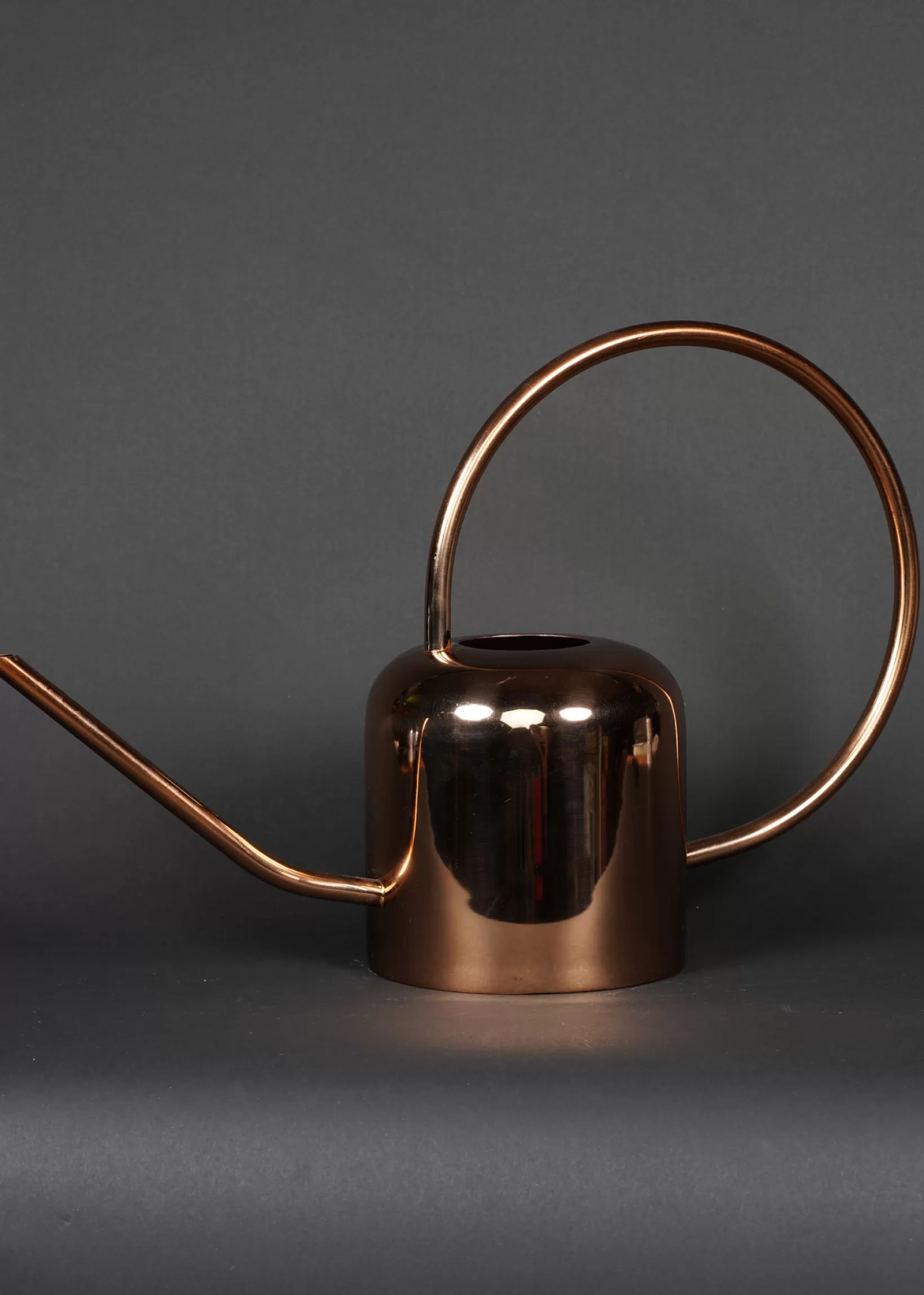 Flash Sale The Floral Society Copper Watering Can